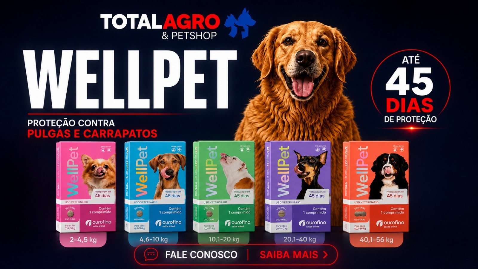 Oferta Especial 3